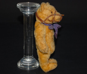 uralter blonder Steiff Teddybär mit Maulkorb * Höhe 20 cm * 30er/40er Jahre